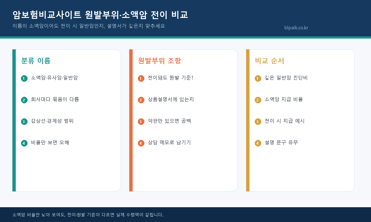 암보험비교사이트 소액암 전이 원발부위 기준 비교 인포그래픽